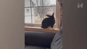 Смешные видео, в которых что-то пошло не так! 🤭 Лучшие неудачи недели