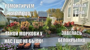 Ремонт крыльца своими руками | Морковка подвела | Дачный влог 20-21 сентября
