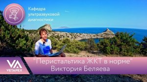 Кафедра Ультразвуковой диагностики. «Перистальтика ЖКТ в норме» #vbvet и #vetapex