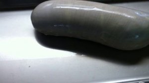 Мортаделла