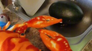 День арбузов у арабов🍉🦀❤️