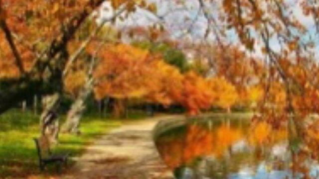 Прекрасная осень 