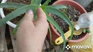 26 сентября подстриглась покрасилась.Купила вкусняшки