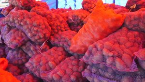 Алтайские фермеры собрали богатый урожай картофеля