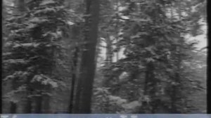 Укротители лавин