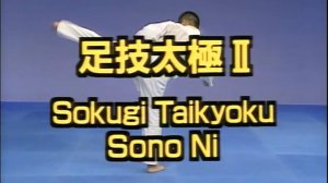 Сокуги Тайкиоку Соно Ни - Ката Карате Кёкусинкай (Kata Sokugi Taikyoku Sono Ni - 足技太極二段) v.1