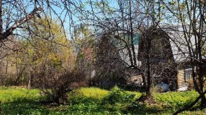 С тельца хрупкого листьев латунь...