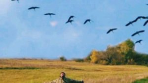 Журавли.mp4