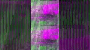 дима vs анабэль