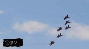 На Сахалине пилоты распугали краснокнижных сивучей, СК начал проверку