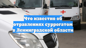 Что известно об отравлениях суррогатом в Ленинградской области