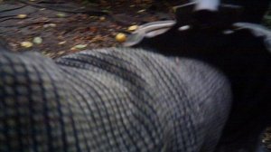 Вынимаю собранные плоды из плодосъёмника