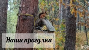 Пойдёмте гулять вместе 😉☺☺☺