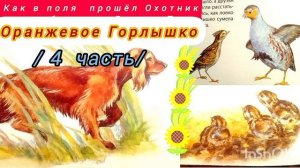 "ОРАНЖЕВОЕ ГОРЛЫШКО"/4 часть/