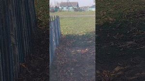 пиар за подписку