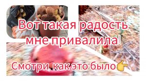 Такая радость мне привалила! Смотри, как это было.