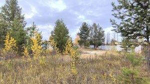 9829787 ПСОК Брусничка