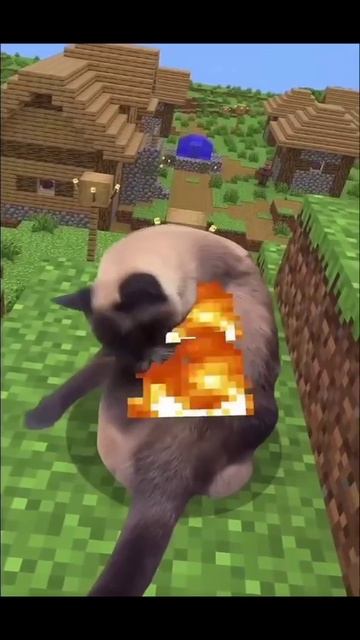 Котя и майнкрафт смотреть онлайн