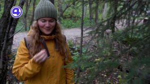 Японский метод лесных ванн в Екатеринбурге