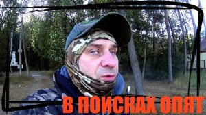 ПРОГУЛКА ПО ЛЕСУ ВДРУГ ГРИБЫ ОСТАЛИСЬ