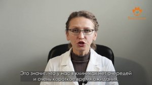 РИЛС для бизнеса: Предварительная запись