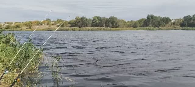 Рыбалка на реке Северский Донец клюнул лещ