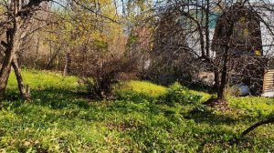 Посеревшее небо от долгих дождей...