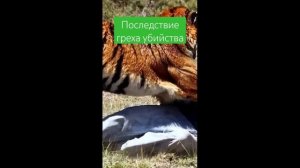 Валерий Кириогло - Прощать обиды