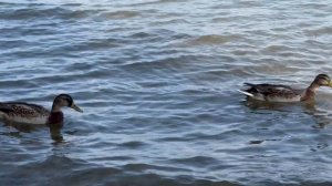 Отдых у моря - часть 5