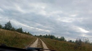 животные на дороге 26-09-2025
