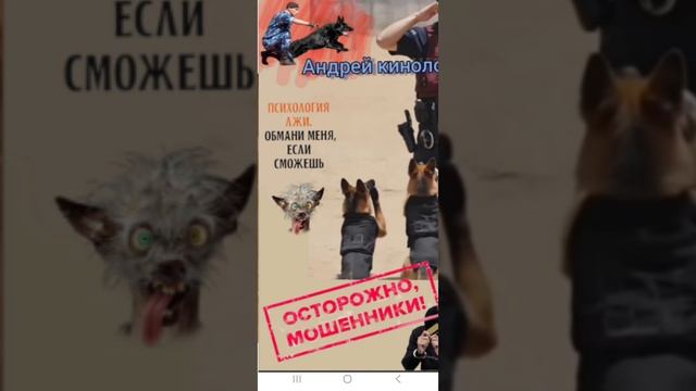 Диктуем цифиры. смотреть онлайн