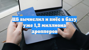 ЦБ вычислил и внёс в базу уже 1,2 миллиона дропперов