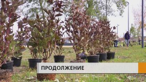 Кафе с парящей крышей и маяк