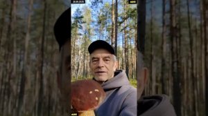 Лесной фитнес с боровиками #юныйпрадедбодрыйдед #авсарх #будогощь