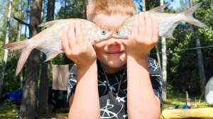 Люблю природу