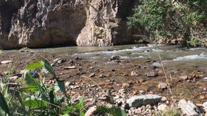 Горная речка Хасаут. "Долина Нарзанов"