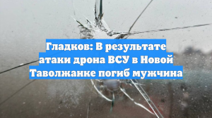 Гладков: В результате атаки дрона ВСУ в Новой Таволжанке погиб мужчина