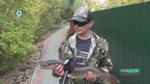 Новости Старого Оскола от 26 сентября