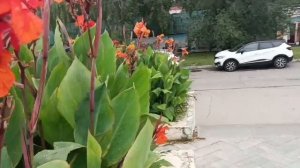 Вот мой огромный мир, быть со мной, гулять по улочкам. любоваться природой. разве это не счастье.