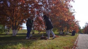 Экологические акции прошли в наших городах