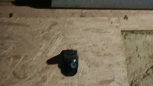 охота на мышей.