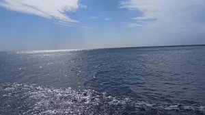 Николаевка, конец сентября2025. Море мур-мур и тёплое. А ветер холодный!