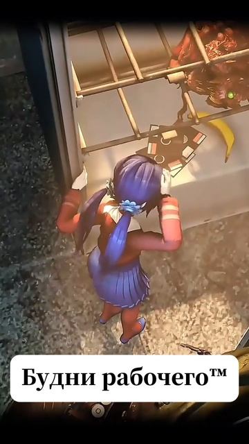 Смотрим рилсы смотреть онлайн