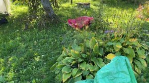 Выпилили весь огород. Городские дела. 22-24 сентября 2026