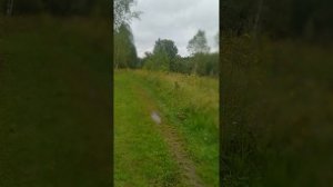 VID20250812103251.mp4 Бродва река котался