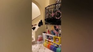 Смешные животные, часть 42