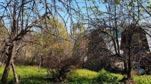 Желания нет...