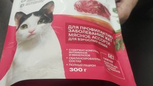 Для кошек 🐱 и котов 🐈 которые на службе....