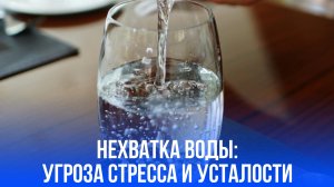 Секреты радости: как один привычный промах с водой уничтожает вашу уверенность и здоровье