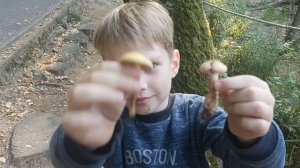 Сказочное болото посреди Москвы.